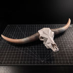 ADG42 Modern Large Steer Skull and Horns Wall Art | 30"