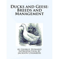 Ducks and Geese: Breeds and Management - Paperback