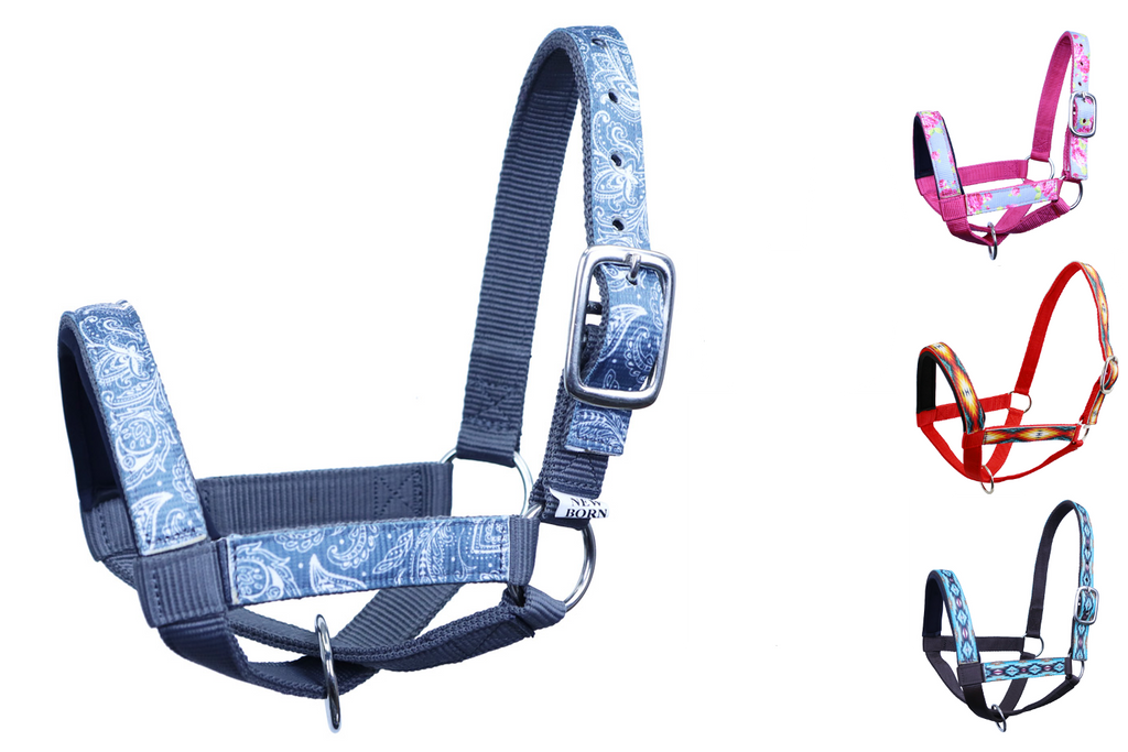Tahoe Tack Nylon Overlay Sheep and Goat Halter with Padded Noseband - 6 Month Warranty
