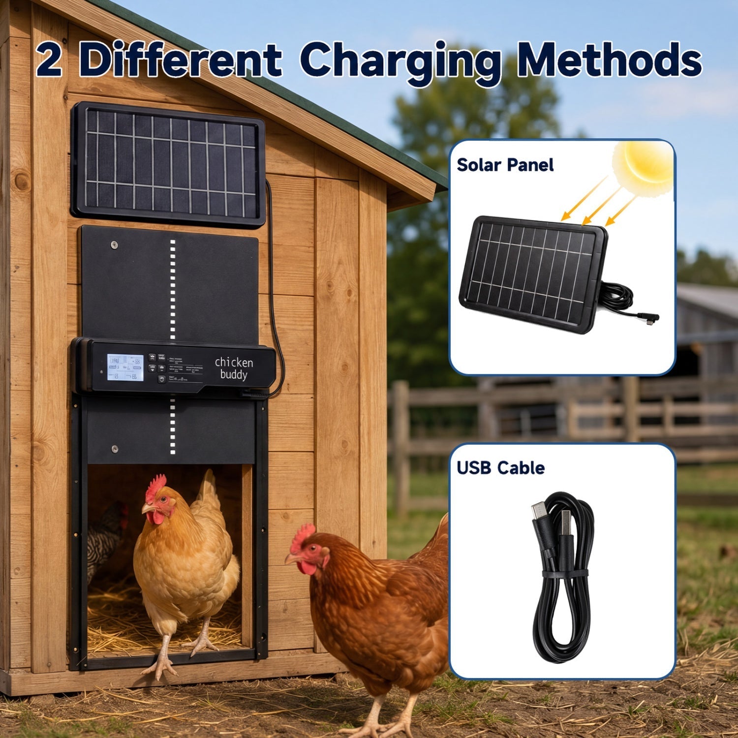 Solar Powered Automatic Chicken Coop Door with Remote Control
