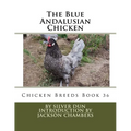 The Blue Andalusian Chicken: Chicken Breeds Book 36 - Paperback