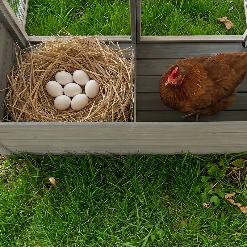 20.93ft² Large Wooden Chicken Coop Outdoor Hen House
