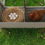 20.93ft² Large Wooden Chicken Coop Outdoor Hen House