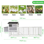Chicken Coop With Run And Nesting Box