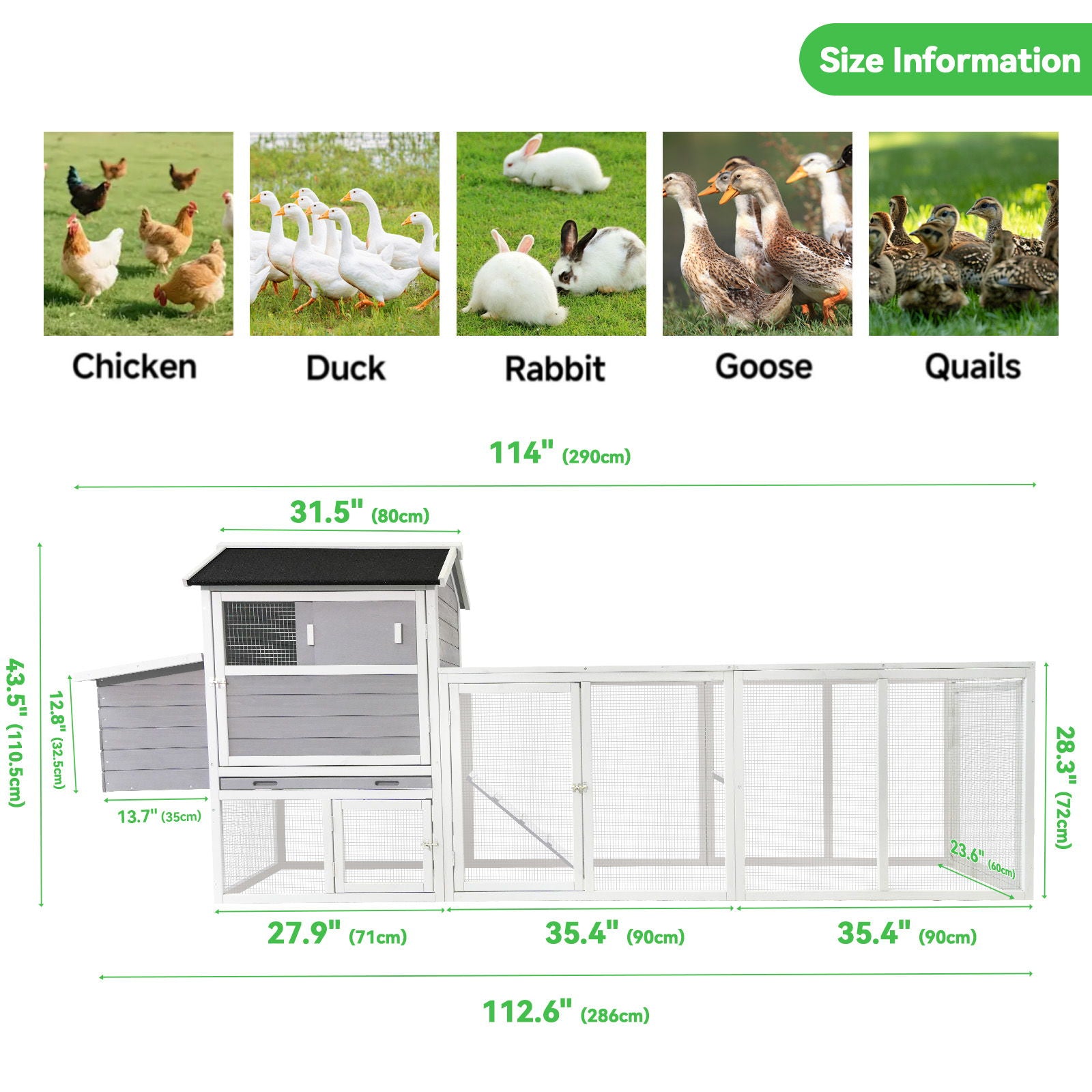 Chicken Coop With Run And Nesting Box