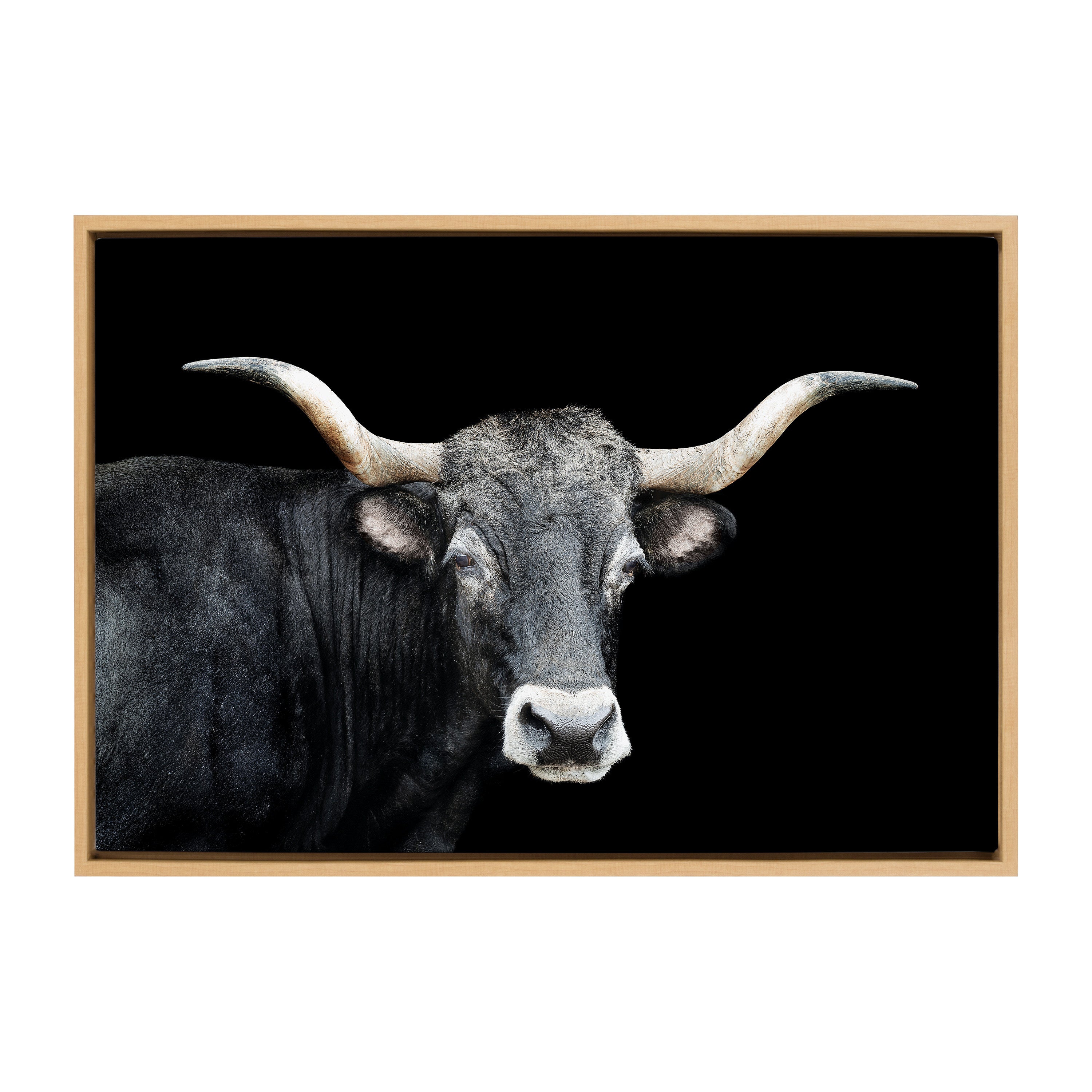 Sylvie Tudanca Cow Longhorn Bull Cattle Animal Framed Canvas by Xyo