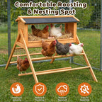 Chicken Nesting Box with Asphalt Roofing and Chicken Perch