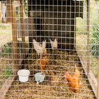 Wire Mesh Fence Roll 60in x 50ft, 1/2in x 1/2in 19GA Galvanized Steel Poultry Netting