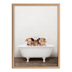 Blake Three Little Pigs in Vintage Bathtub Framed Printed Glass by Amy Peterson Art Studio