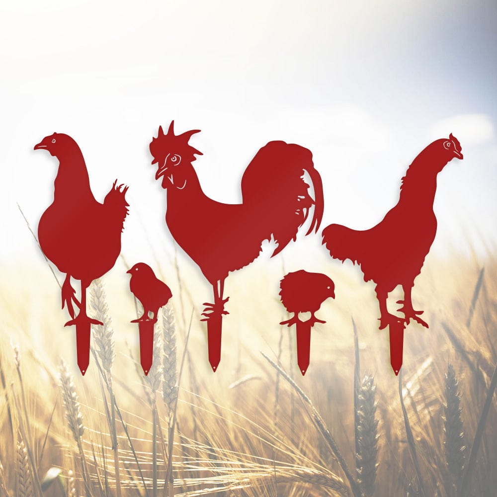 Chicken Yard Signs - 5 Metal Yard Signs