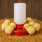 Little Giant 1 QT Poultry Chick Feeder or Waterer Replacement Parts Plastic & Full Sets