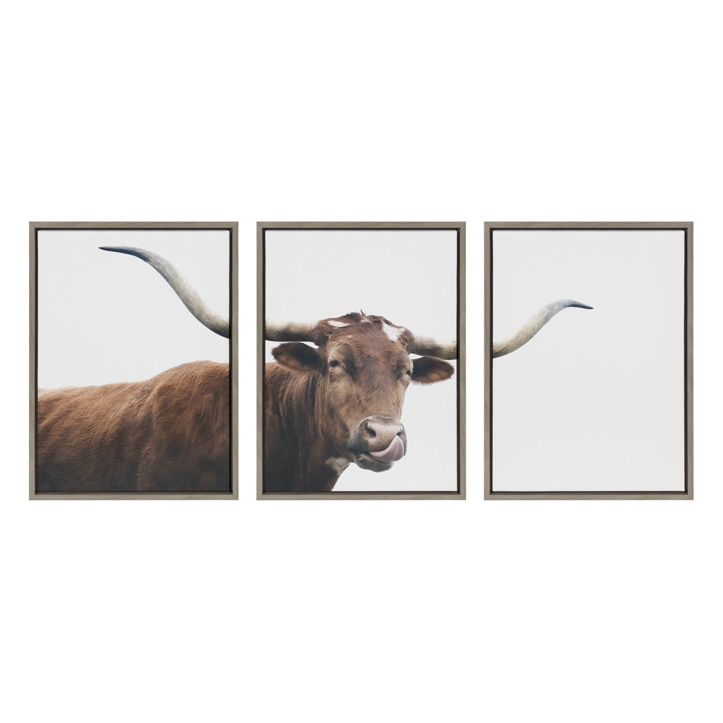 Sylvie Texas Longhorn Cow Lick 1 2 3 Framed Canvas by The Creative Bunch Studio