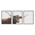 Sylvie Texas Longhorn Cow Lick 1 2 3 Framed Canvas by The Creative Bunch Studio