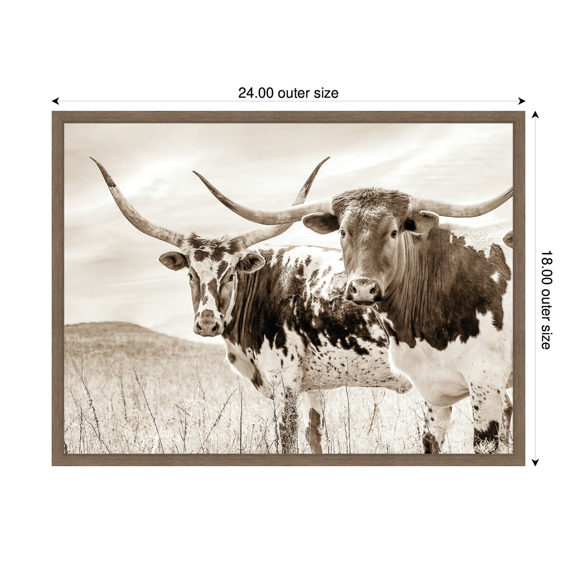 Sepia Texas Longhorn Cattle in Pasture by The Creative Bunch Studio Framed Canvas Wall Art Print