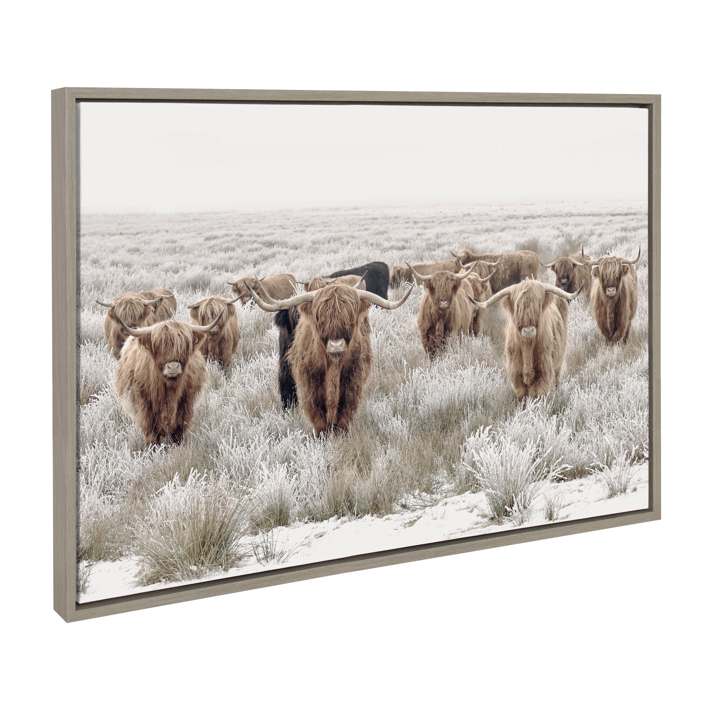 Sylvie Texas Longhorn, Highland Cow Portrait Close Color and Herd of Highland Cows Color Framed Canvas Art Set by The Creative Bunch Studio
