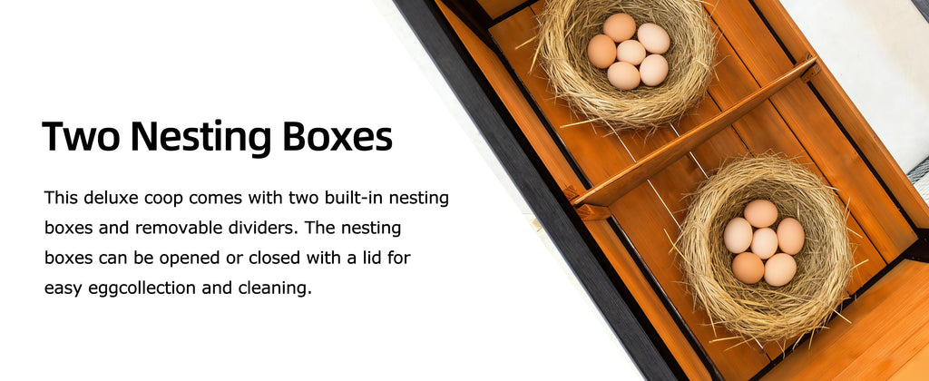 119.5" Outdoor Wooden Chicken Coop with Run