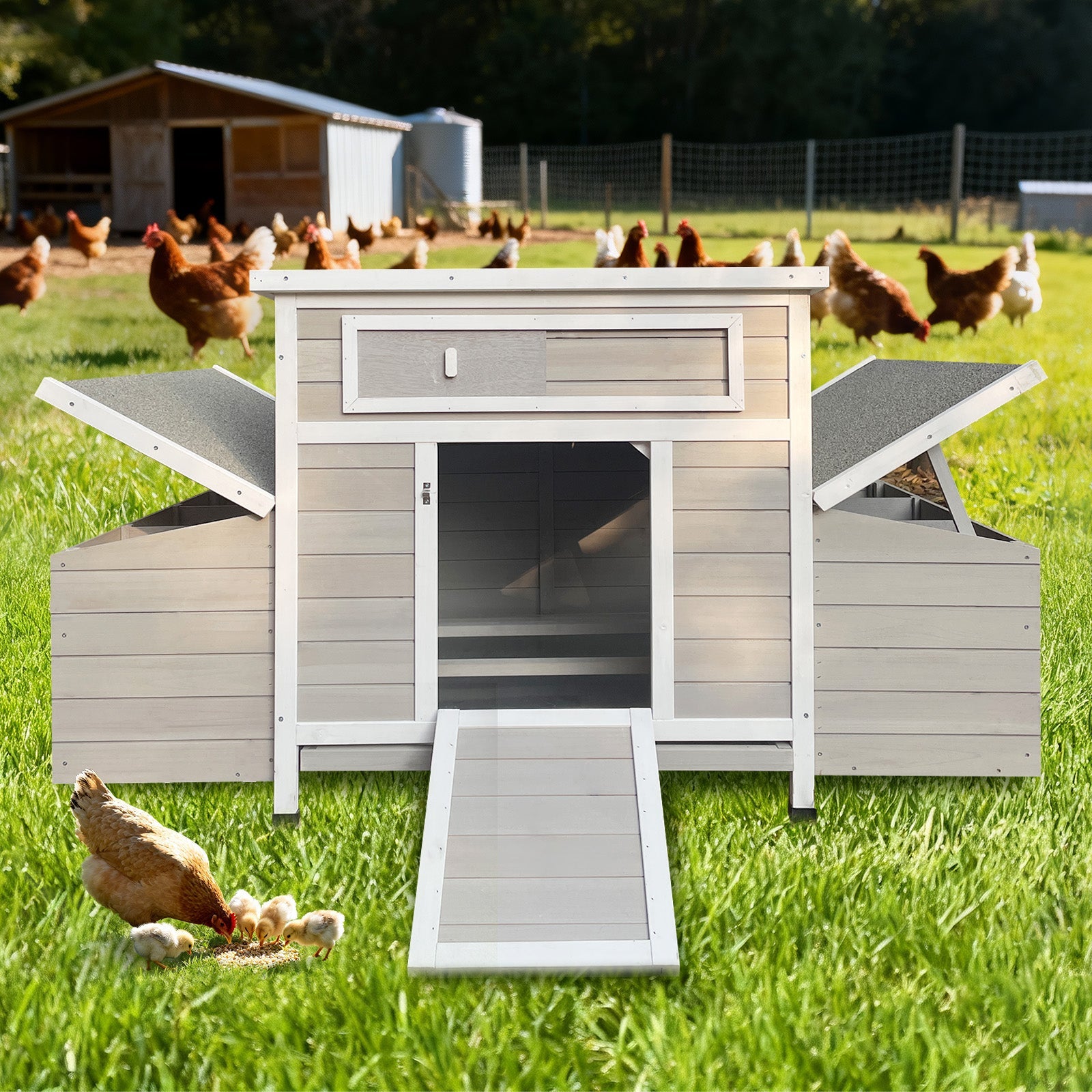 Large Wooden Chicken Coop Outdoor Hen House with Nesting Boxes
