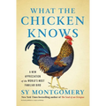 What the Chicken Knows: A New Appreciation of the World's Most Familiar Bird - Hardcover