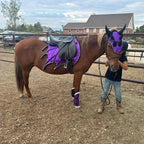Purple Horse Dragon Saddle Pad, Ear Bonnet & Horse Boot Set