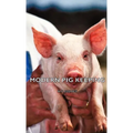 Modern Pig Keeping - Hardcover