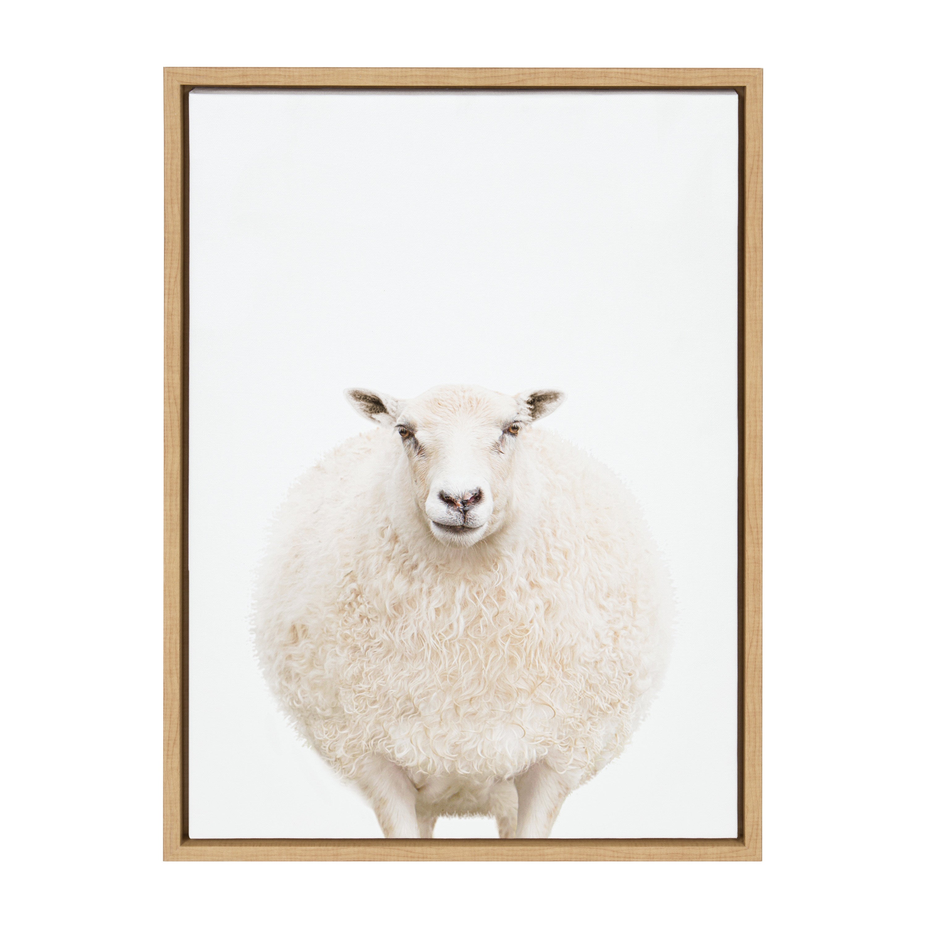 Sylvie Round Sheep Portrait Framed Canvas by Amy Peterson Art Studio