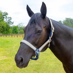 Jeffers Matching Horse Halter & Lead Rope 2 Piece Set, Full Size