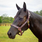 Jeffers Matching Horse Halter & Lead Rope 2 Piece Set, Full Size