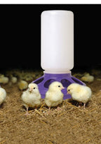 Little Giant 1 Quart Chicken Feeder & Waterer – Plastic Screw-On Jar & Base (Sold Separately)