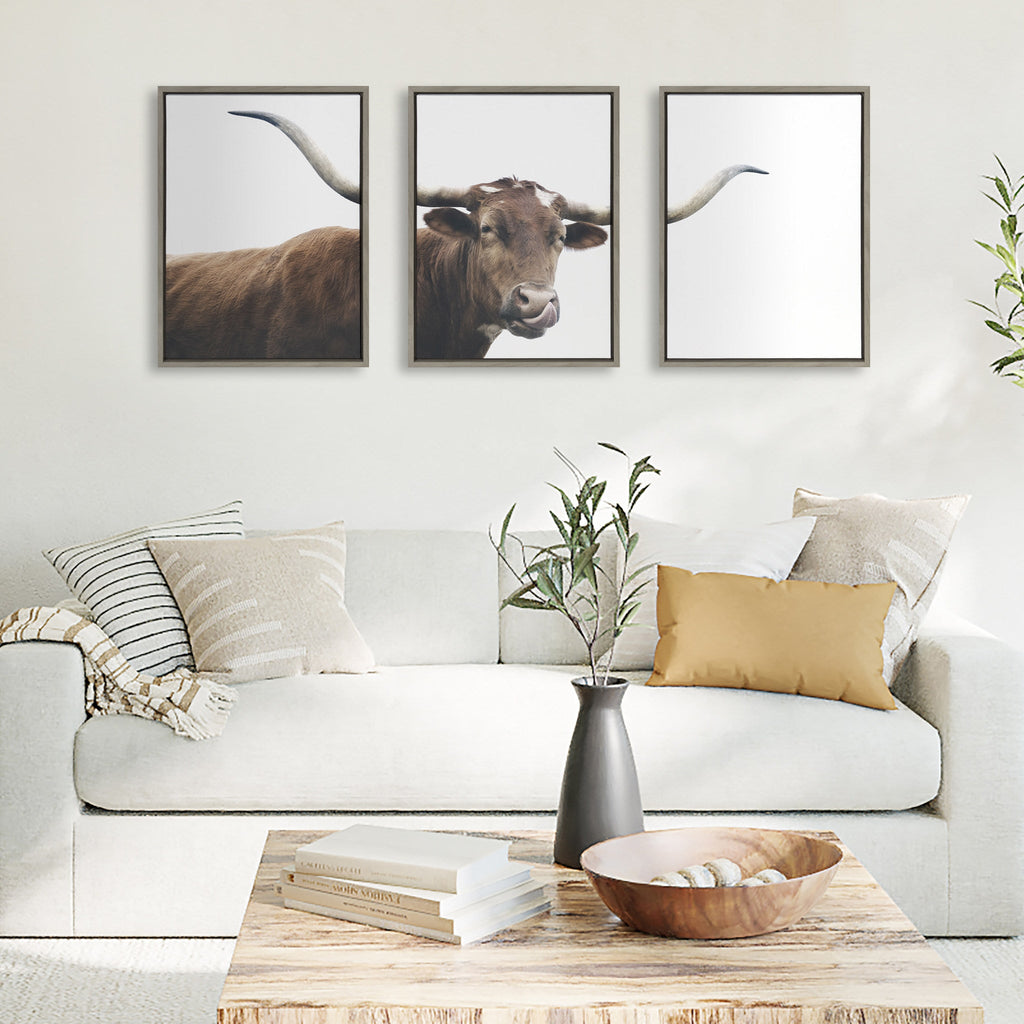 Sylvie Texas Longhorn Cow Lick 1 2 3 Framed Canvas by The Creative Bunch Studio
