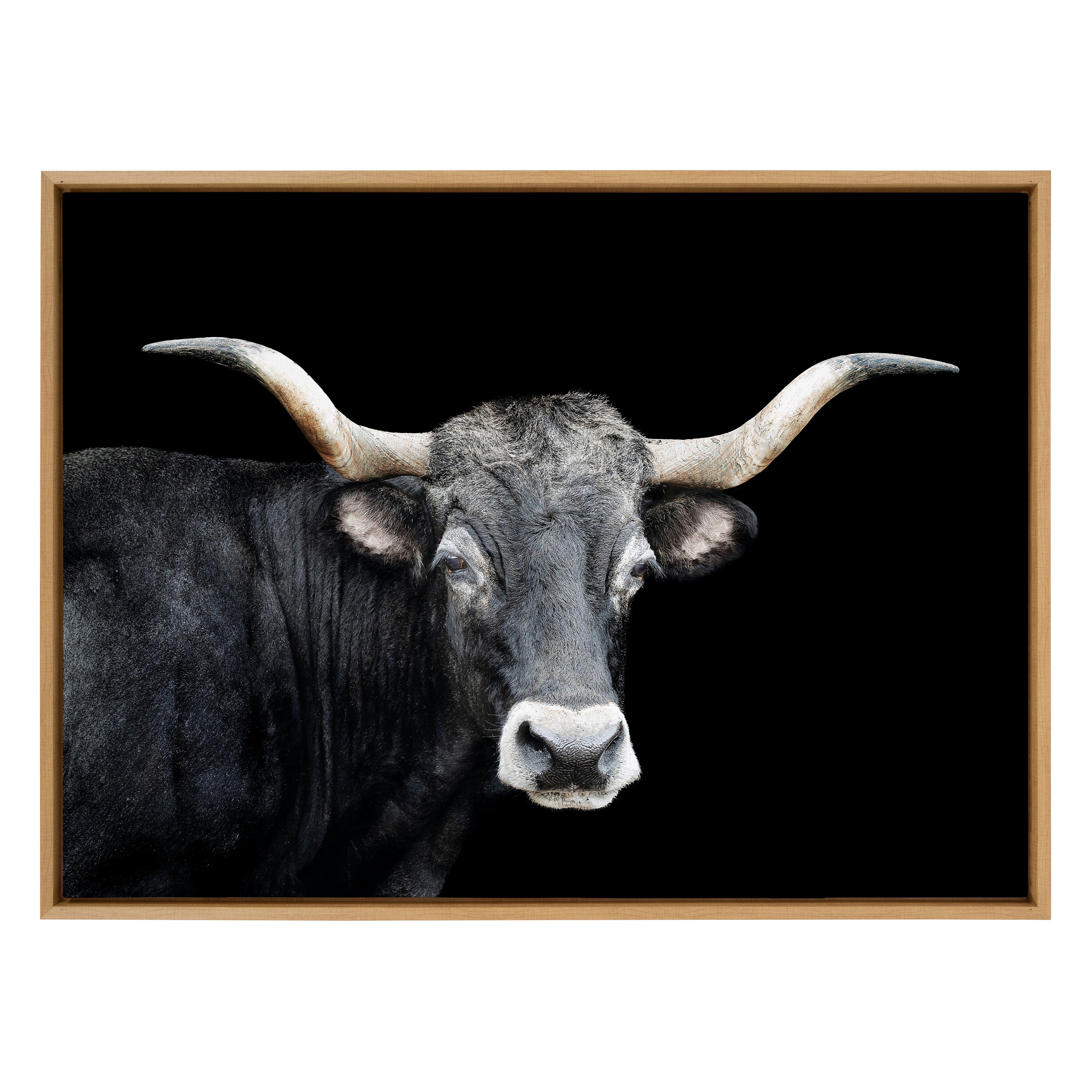 Sylvie Tudanca Cow Longhorn Bull Cattle Animal Framed Canvas by Xyo