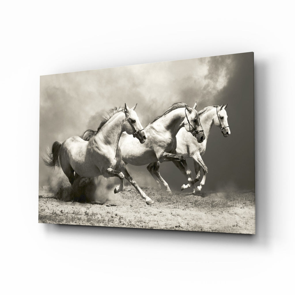 Three Gray Horses Sepia Run Glass Wall Art