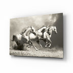 Three Gray Horses Sepia Run Glass Wall Art