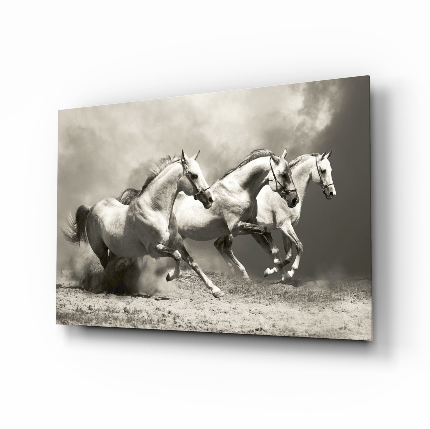 Three Gray Horses Sepia Run Glass Wall Art