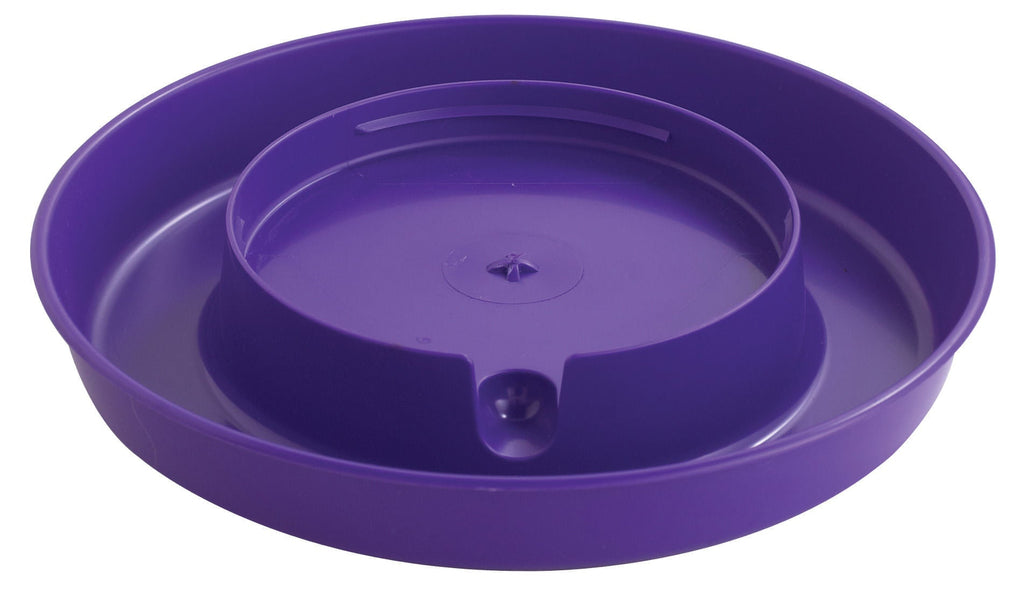 Little Giant Plastic Chicken Waterer Base & Jar, Gallon (Sold Separately)