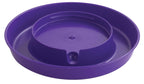Little Giant Plastic Chicken Waterer Base & Jar, Gallon (Sold Separately)
