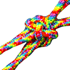 10 Ft Clinician Loop Reins