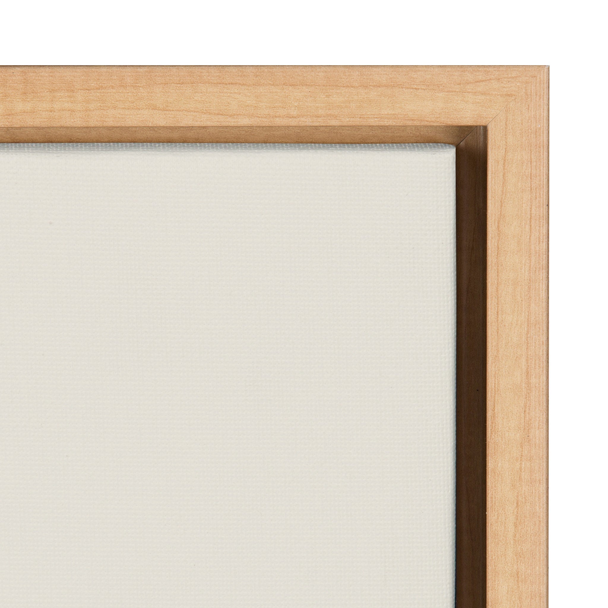 Sylvie Flying Pigs Framed Canvas by Rachel Lee of My Dream Wall