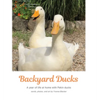 Backyard Ducks: A year of life at home with Pekin ducks - Hardcover