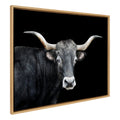 Sylvie Tudanca Cow Longhorn Bull Cattle Animal Framed Canvas by Xyo