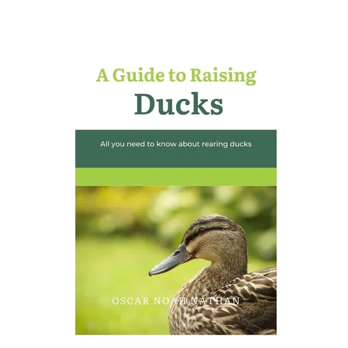 A Guide to Raising Ducks: All you need to know about rearing duck - Paperback