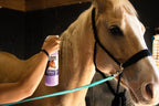 Jeffers Equine Tail & Mane Detangler and Conditioner for Horses