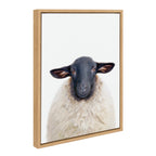 Sylvie Dorper Sheep Framed Canvas by Amy Peterson Art Studio