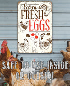 Farm Fresh Eggs 2 - Metal Sign