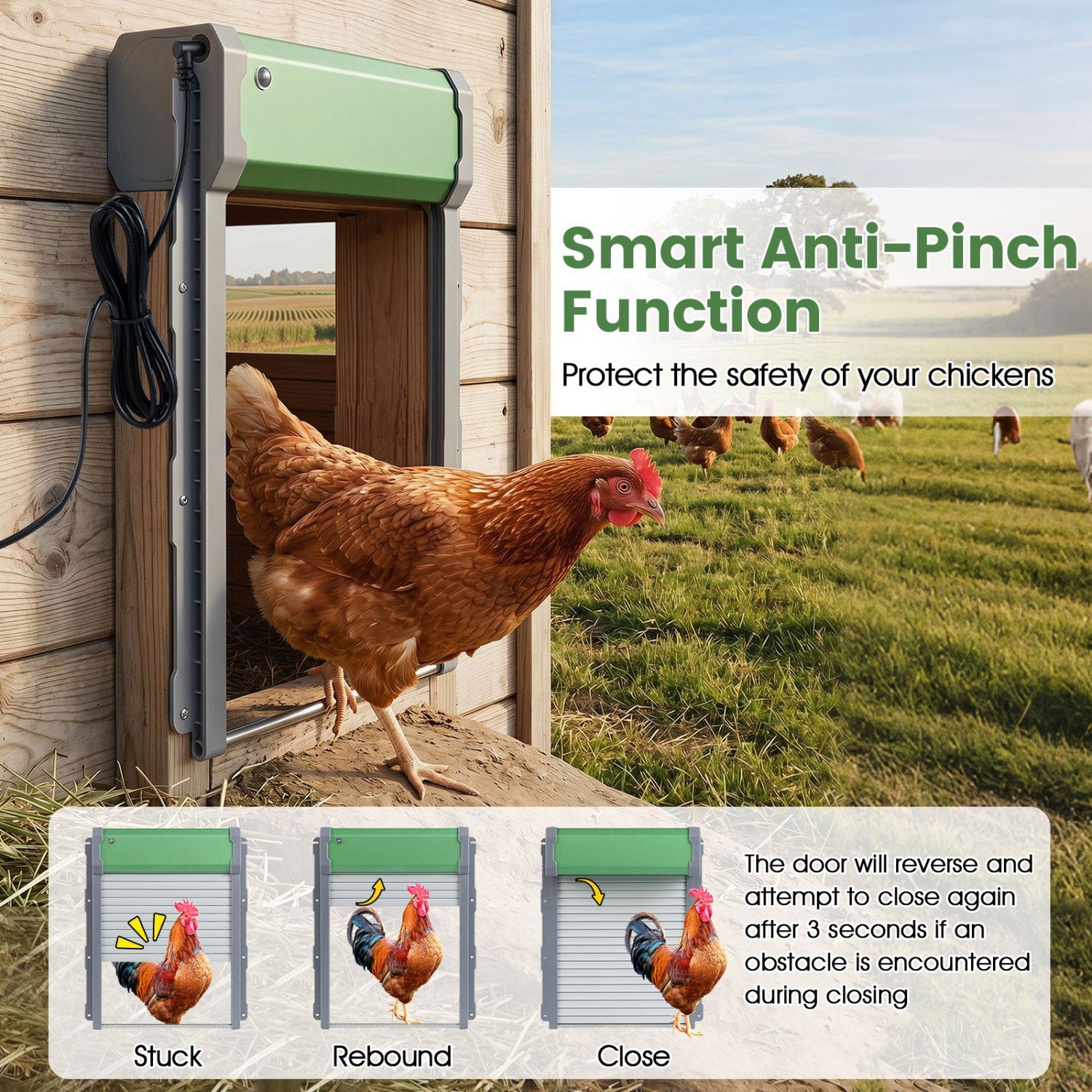 Automatic Chicken Coop Door with Remote Control & Light Sensor