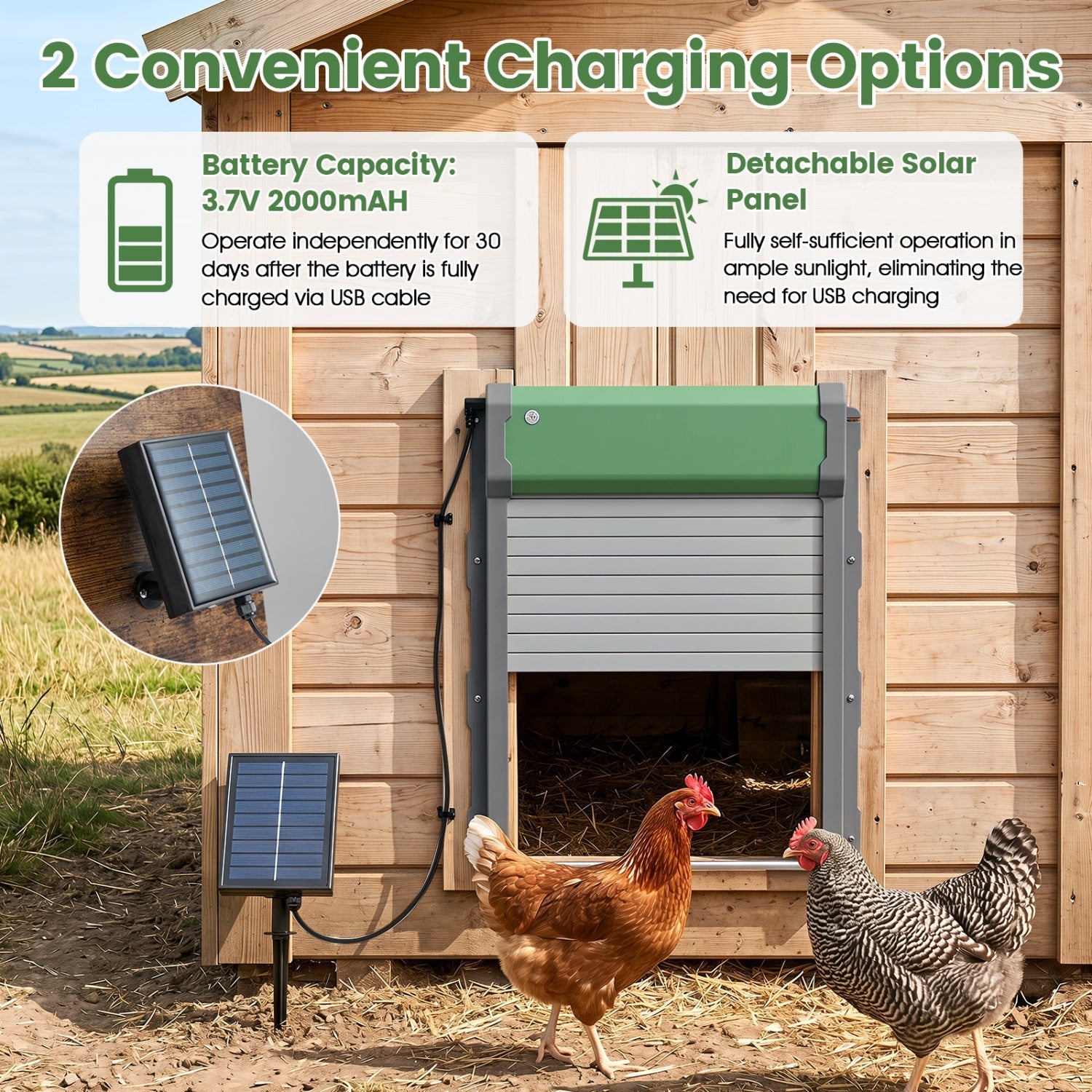 Automatic Chicken Coop Door with Remote Control & Light Sensor