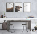 Sylvie Texas Longhorn Cow Lick 1 2 3 Framed Canvas by The Creative Bunch Studio