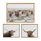 Sylvie Texas Longhorn, Highland Cow Portrait Close Color and Herd of Highland Cows Color Framed Canvas Art Set by The Creative Bunch Studio