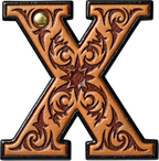 Baha Ranch Monogrammed Initial Western Leather Look Saddle Longhorn Cowboy Cowgirl Kitchen Dish Towels Made in America
